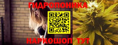гашишное масло Будённовск