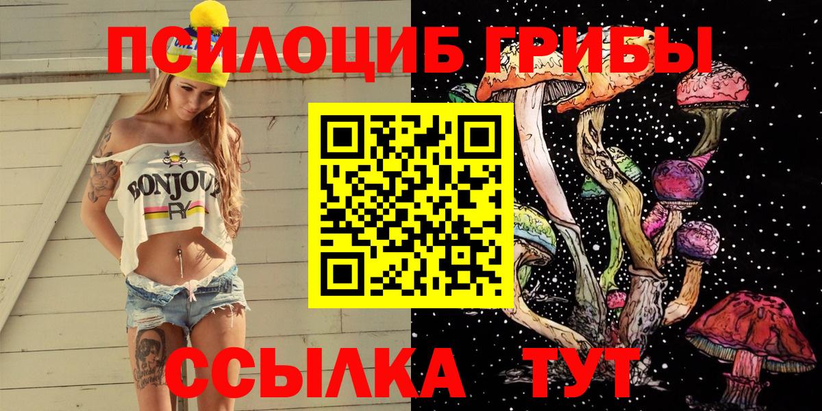 Псилоцибиновые грибы Psilocybine cubensis  Вход с VPN  Южно-Сахалинск 