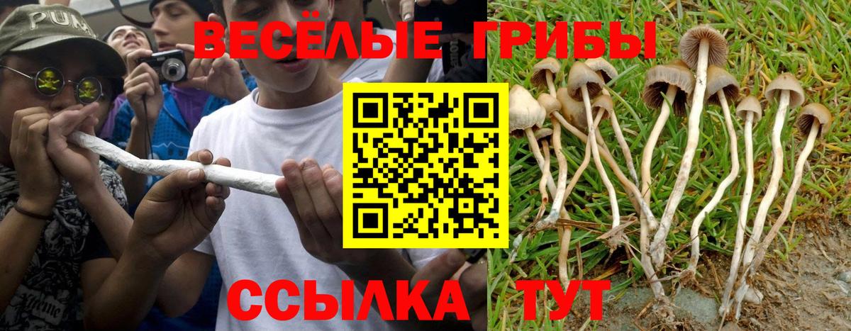 Галлюциногенные грибы мухоморы Южно-Сахалинск